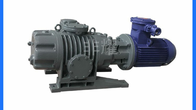 理清多級羅茨真空泵泵腔清理工作【非耀】