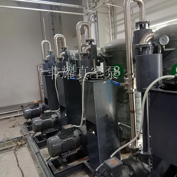 2BV液環(huán)真空泵