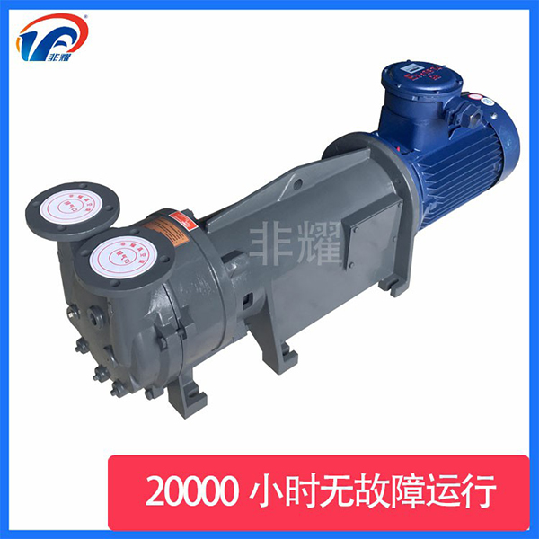 變頻水環(huán)真空泵