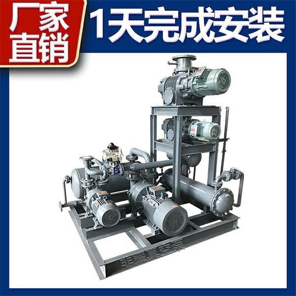 羅茨水環(huán)真空泵機(jī)組