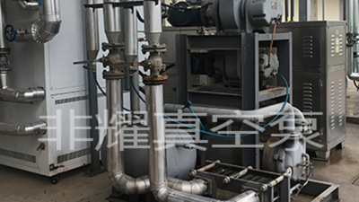 真空泵廠家分析真空泵的結(jié)構(gòu)特點(diǎn)【非耀】