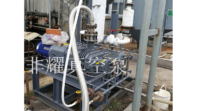 解析變頻螺桿真空泵出現(xiàn)噪音和振動的原因【非耀】