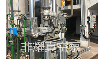 探索ZJP羅茨真空泵噪聲的原因分析【非耀】