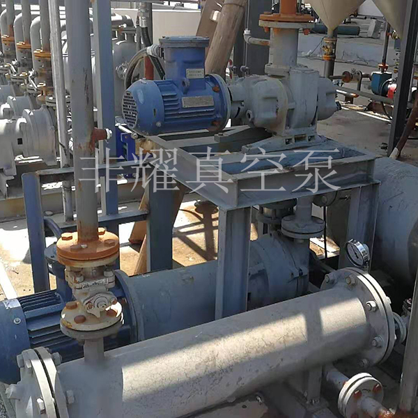 大型羅茨真空泵