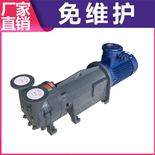 防爆水環(huán)真空泵