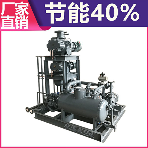 羅茨水環(huán)真空泵機(jī)組