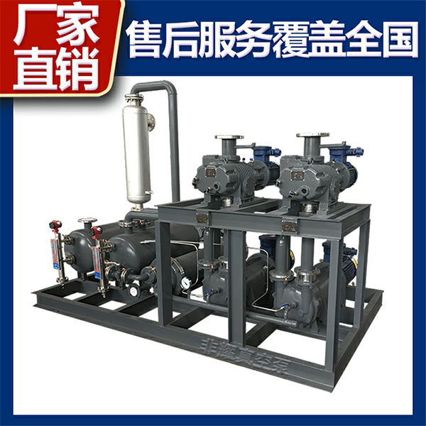 羅茨水環(huán)真空泵機組
