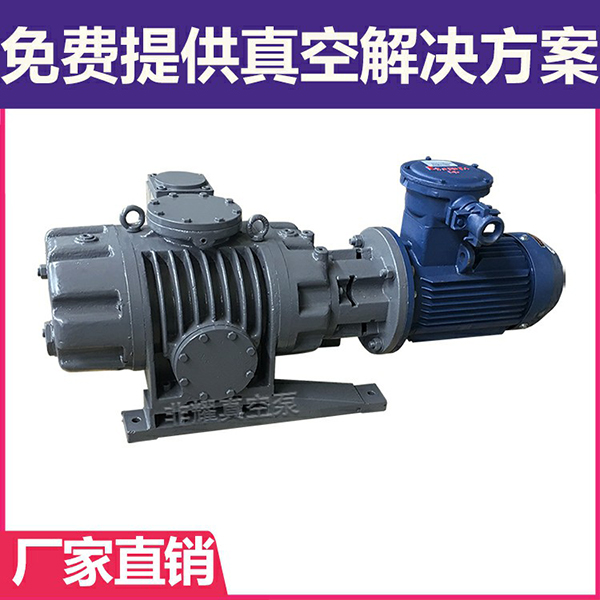 三級(jí)羅茨真空泵