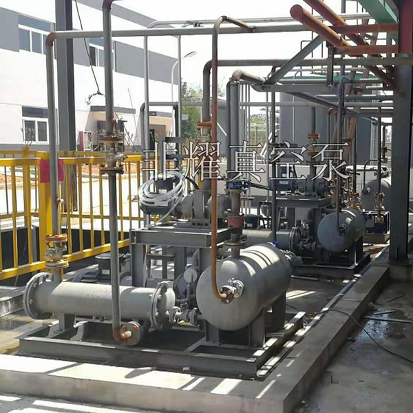 2BV水環(huán)真空泵