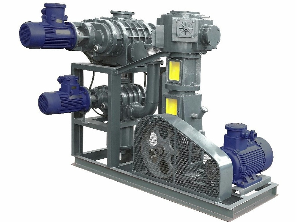 羅茨泵+往復(fù)真空泵機組 羅茨泵+往復(fù)真空泵機組