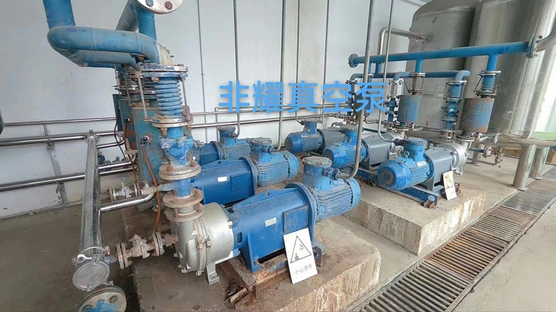 2BV水環(huán)真空泵