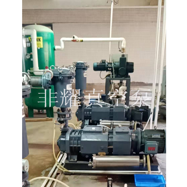 無(wú)油螺桿真空泵