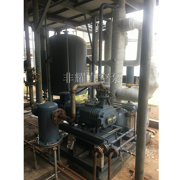 耐腐蝕螺桿真空泵