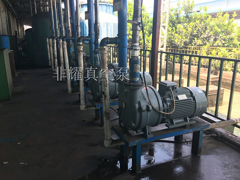 防爆水環(huán)真空泵