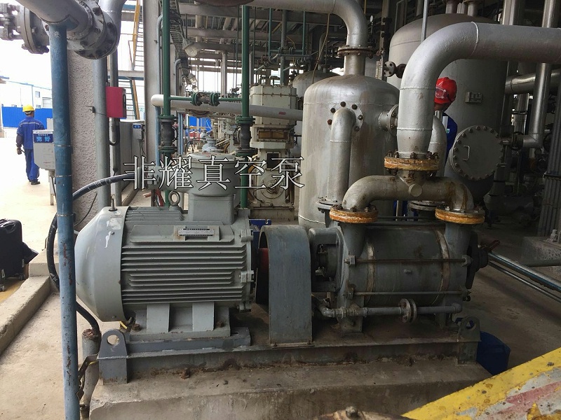 變頻水環(huán)真空泵