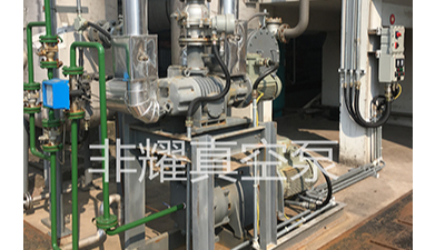 廠家對(duì)羅茨水環(huán)真空泵機(jī)組的相關(guān)介紹【非耀】