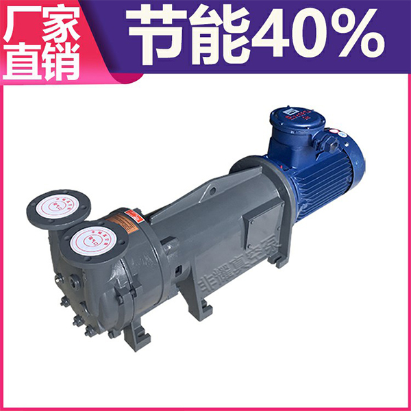 防爆水環(huán)真空泵