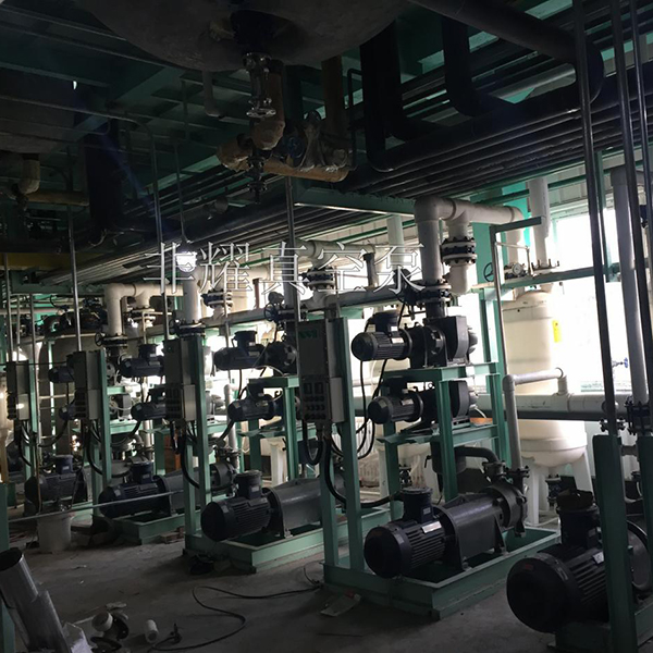 耐腐蝕羅茨真空泵