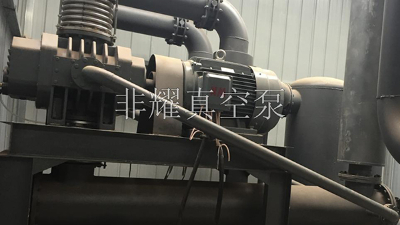 源頭廠(chǎng)家探討氣冷羅茨真空泵的適用行業(yè)【非耀】