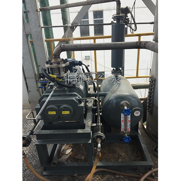 無油螺桿真空泵