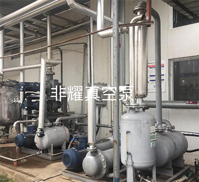 水環(huán)真空泵廠家