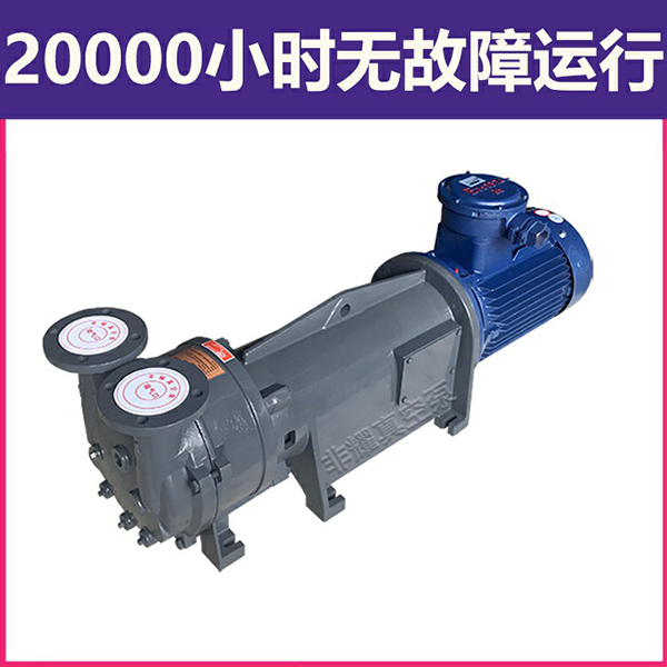 耐腐蝕水環(huán)式真空泵