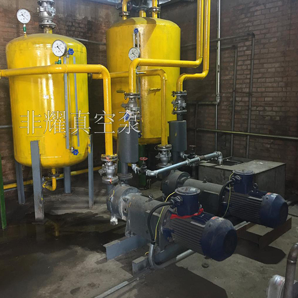 液環(huán)式真空泵