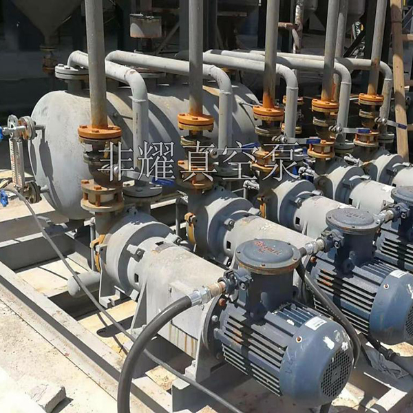 2BV水環(huán)真空泵