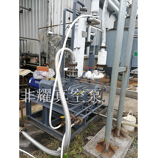 變頻螺桿真空泵