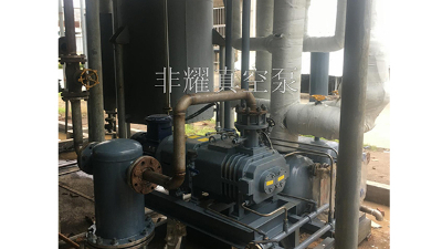 變螺距螺桿真空泵損壞做好提前預防【非耀】