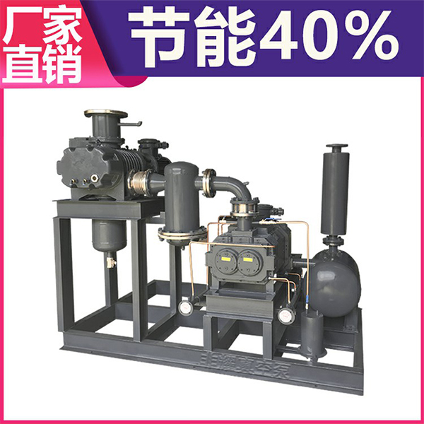 羅茨真空泵機(jī)組廠