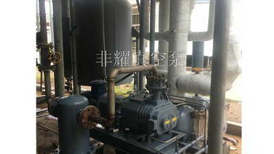 詳細(xì)分析干式螺桿真空泵的優(yōu)點(diǎn)有哪些【非耀】