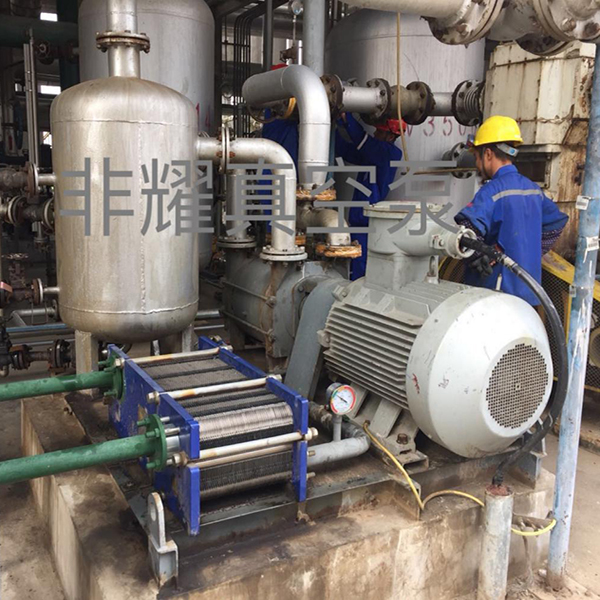 保養(yǎng)水環(huán)真空泵